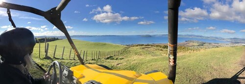 Rotorua: 4×4 selvkjørende buggy-tur gjennom gård og buskland