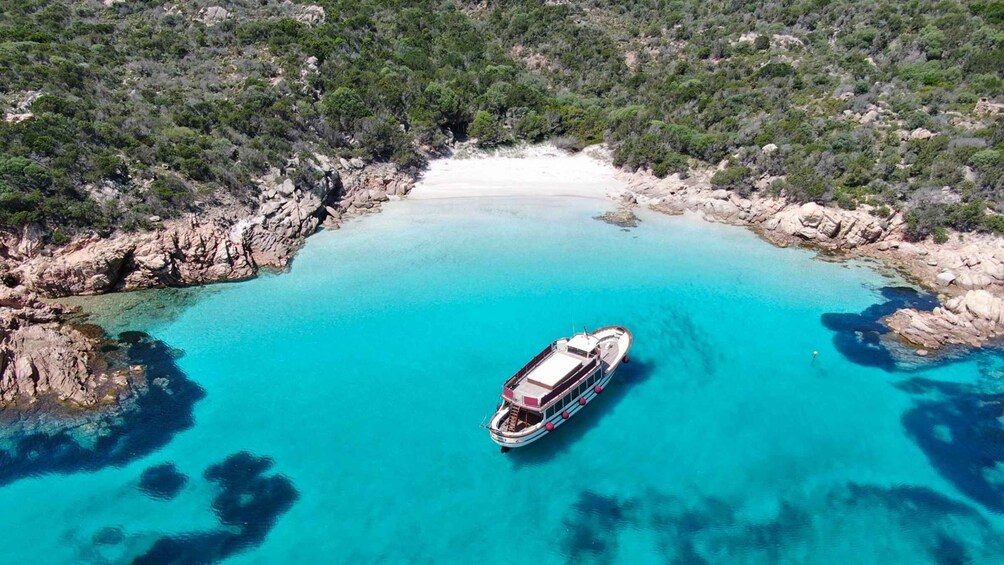 Picture 5 for Activity From Palau/La Maddal: Boat Tour of La Maddalena Archipelago