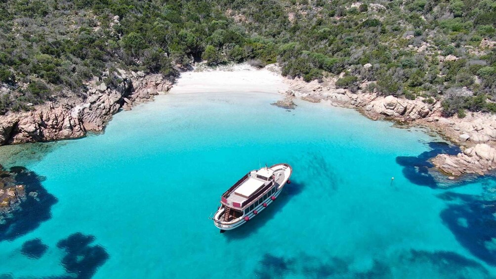 Picture 5 for Activity From Palau/La Maddal: Boat Tour of La Maddalena Archipelago