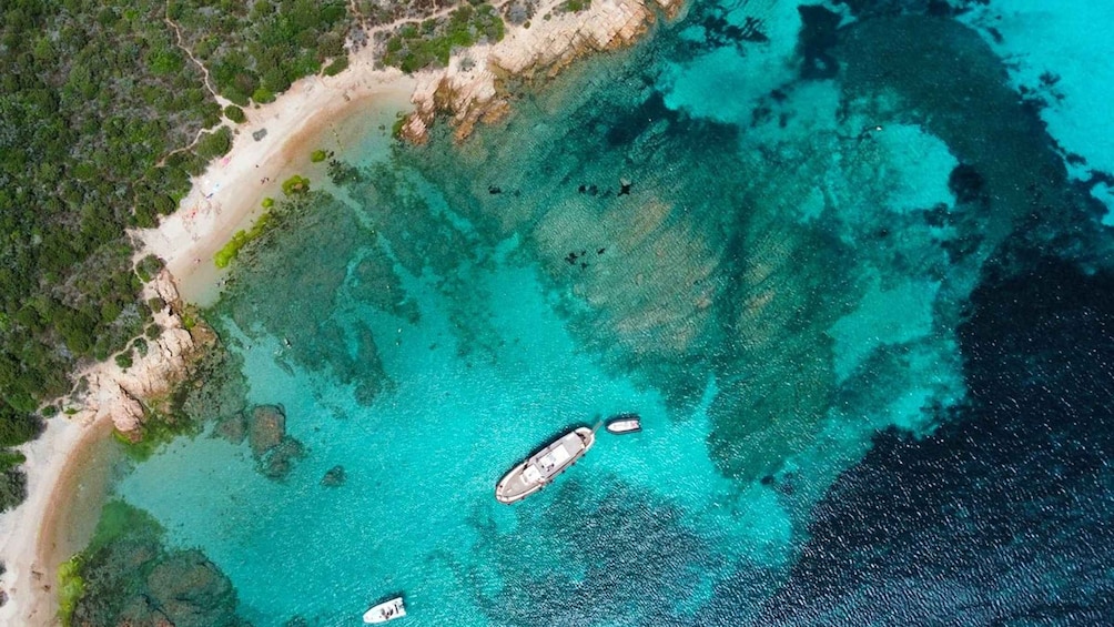 Picture 11 for Activity From Palau/La Maddal: Boat Tour of La Maddalena Archipelago