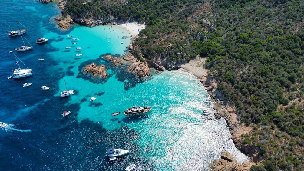 Picture 3 for Activity From Palau/La Maddal: Boat Tour of La Maddalena Archipelago