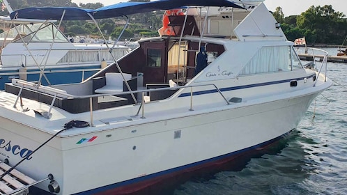 Desde Porto Rotondo: Excursión en barco privado a Costa Esmeralda