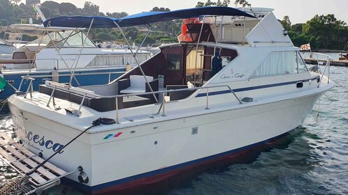 Desde Porto Rotondo: viaje en barco privado