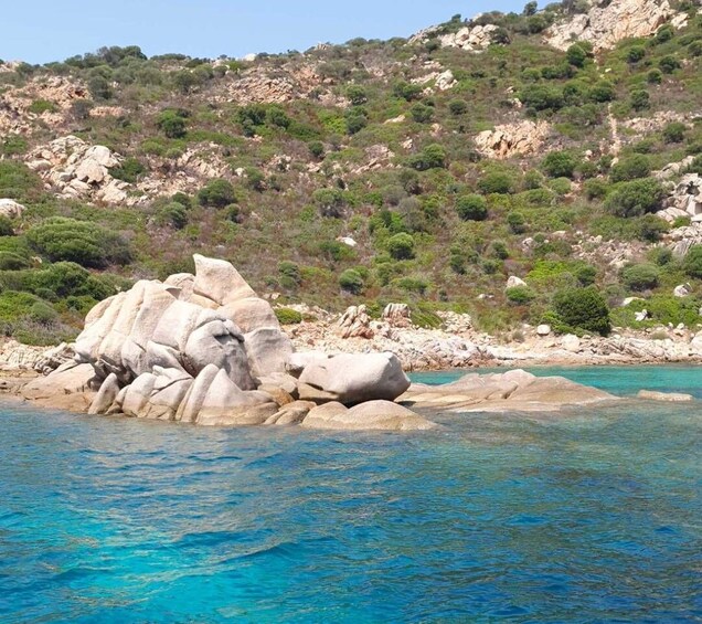 Picture 8 for Activity From Porto Rotondo: Private boat trip