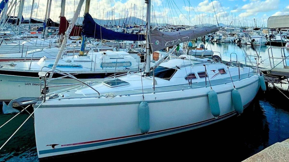 From Alghero: sailing boat tour
