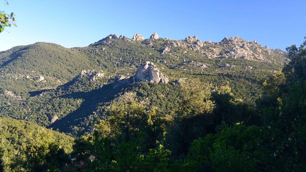 Picture 1 for Activity Castiadas: Sardinian Deer Forest Trek