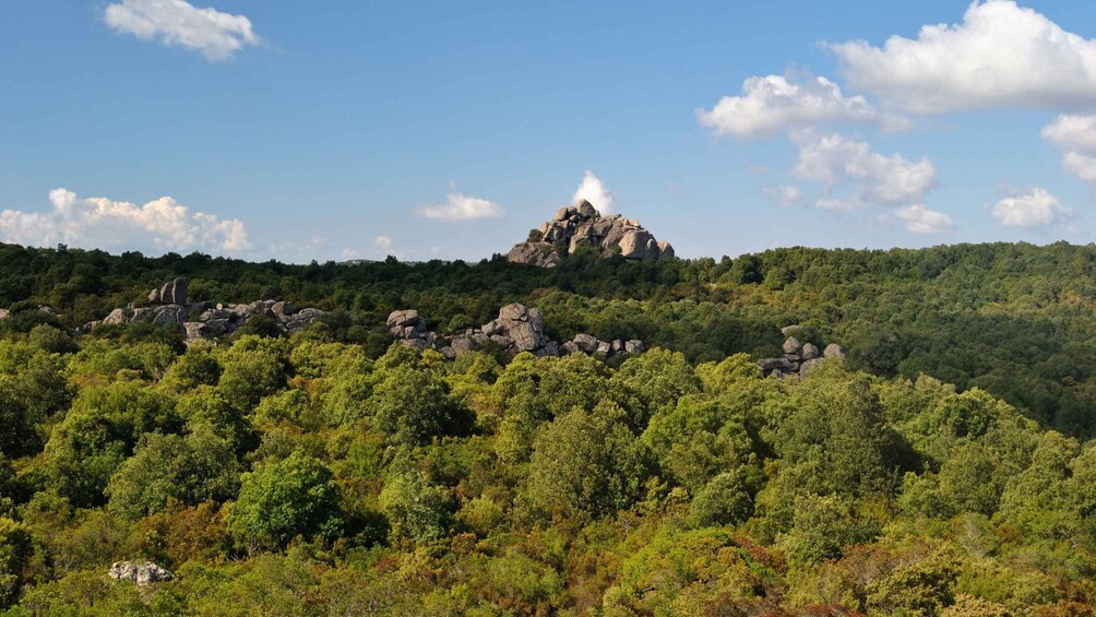 Picture 4 for Activity Castiadas: Sardinian Deer Forest Trek