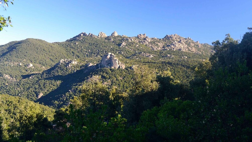 Picture 1 for Activity Castiadas: Sardinian Deer Forest Trek