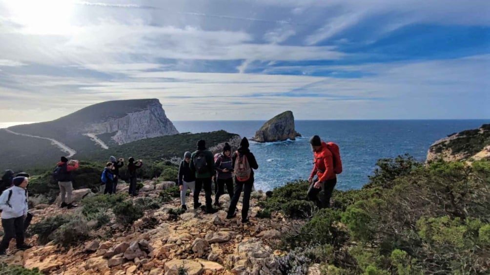 Picture 1 for Activity Alghero: Griffon Vulture Trek in Porto Conte Park