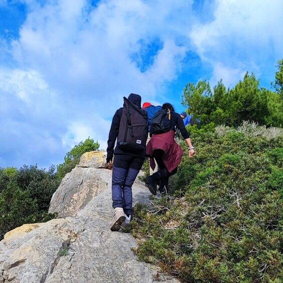 Picture 6 for Activity Alghero: Griffon Vulture Trek in Porto Conte Park