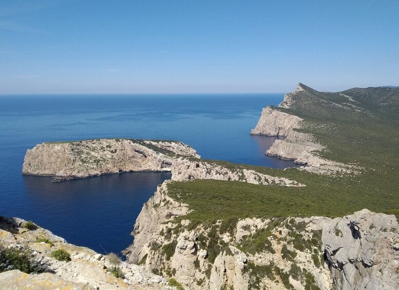 Picture 4 for Activity Alghero: Griffon Vulture Trek in Porto Conte Park