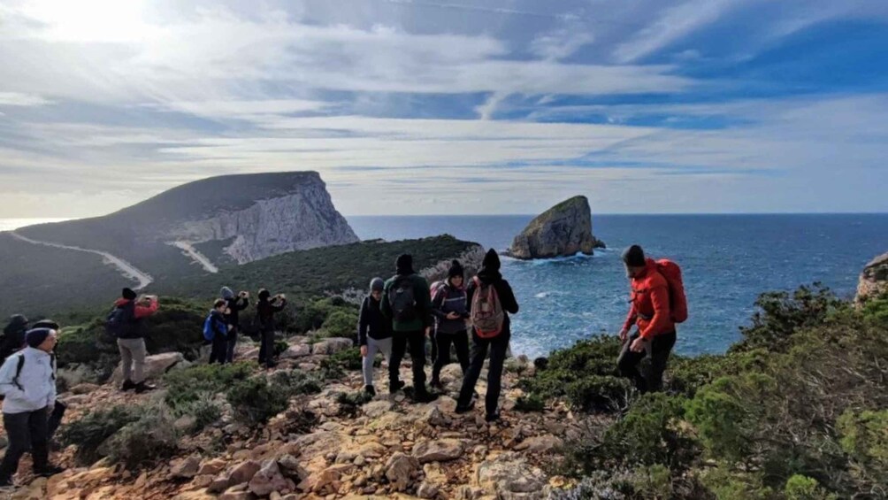 Picture 1 for Activity Alghero: Griffon Vulture Trek in Porto Conte Park