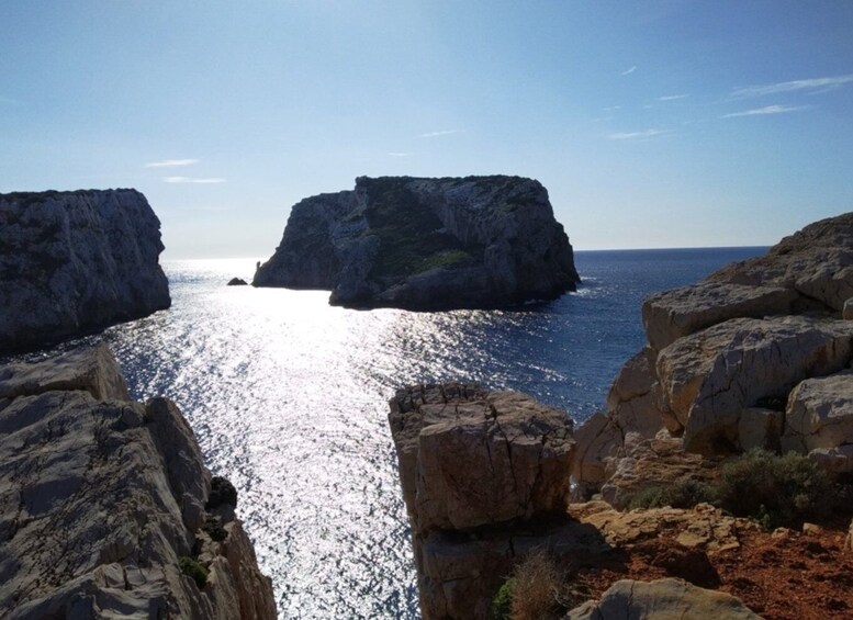 Picture 4 for Activity Alghero: Tour by golf car in Porto Conte Park