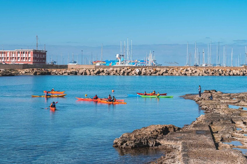 Picture 5 for Activity Porto Torres: Guided Kayaking Excursion