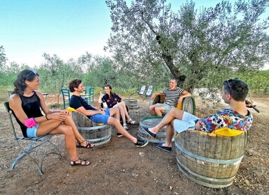 4x4 private tour in Orosei w/ vineyard & nuraghe visit