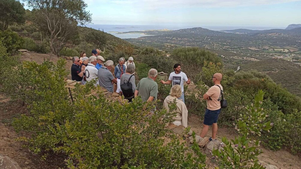 Picture 1 for Activity Olbia: visit a myrtle-making factory with tasting