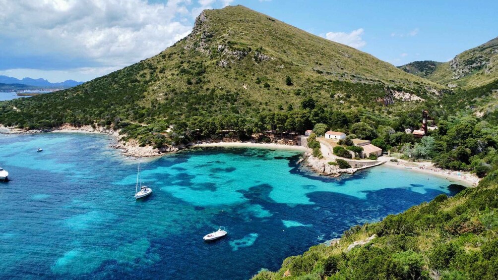 Picture 3 for Activity From Olbia: sailing tour between Tavolara and Cala Moresca