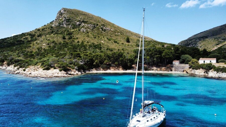 From Olbia: sailing tour between Tavolara and Cala Moresca