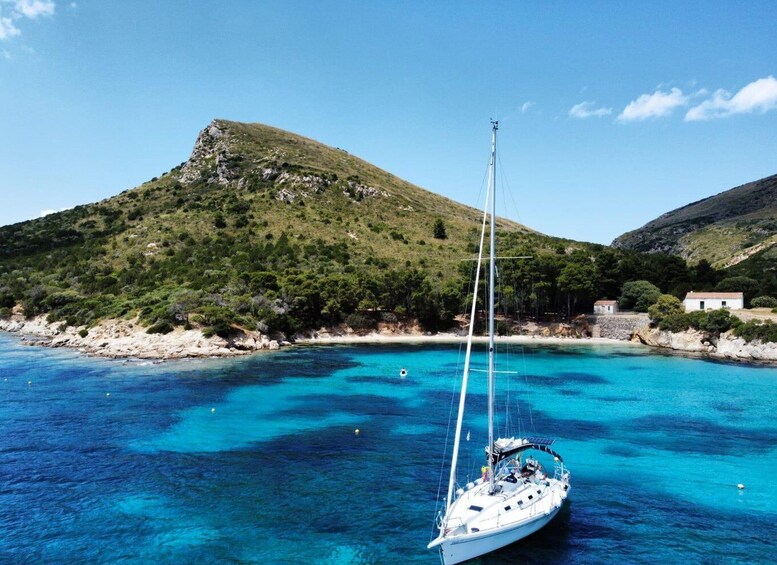 From Olbia: sailing tour between Tavolara and Cala Moresca