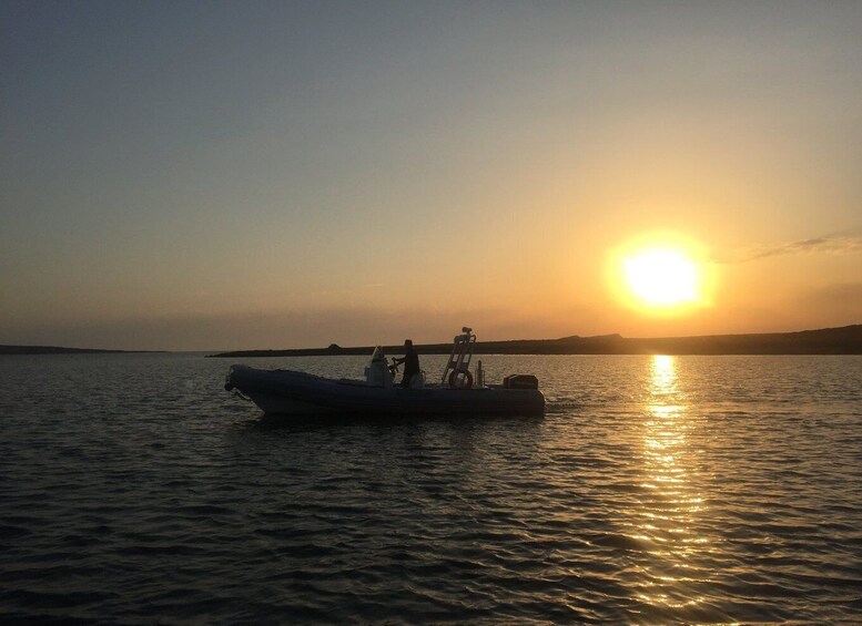 Picture 4 for Activity From Stintino: Half-day dinghy tour in Asinara Gulf