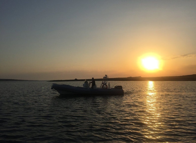 Picture 4 for Activity From Stintino: Half-day dinghy tour in Asinara Gulf