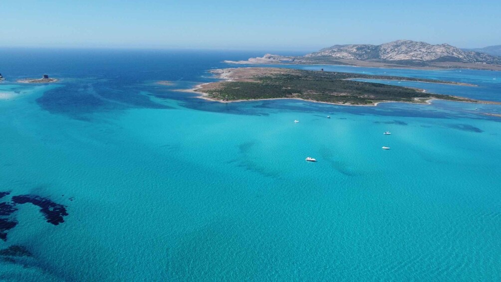 Picture 2 for Activity From Stintino: Half-day dinghy tour in Asinara Gulf