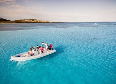 From Stintino: Half-day dinghy tour in Asinara Gulf