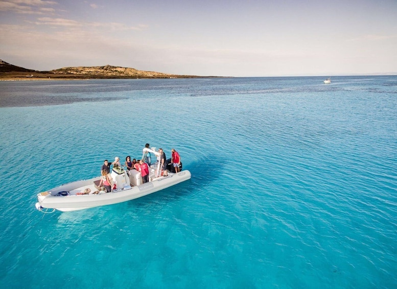 From Stintino: Half-day dinghy tour in Asinara Gulf