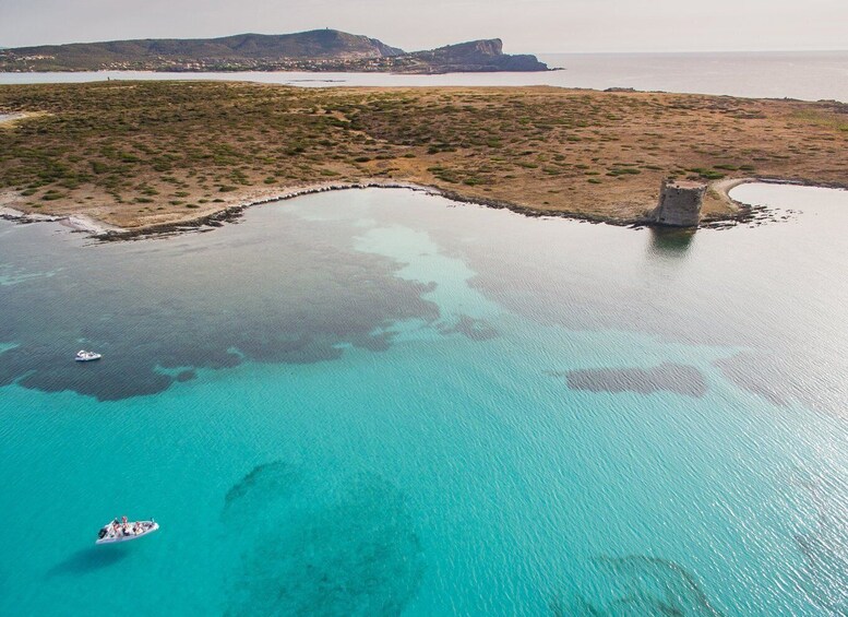 Picture 3 for Activity From Stintino: Half-day dinghy tour in Asinara Gulf