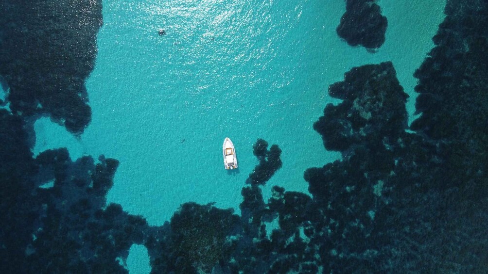 Picture 9 for Activity From Stintino: Half-day dinghy tour in Asinara Gulf