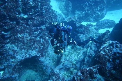 Alghero: buceo para profesionales en Capo Caccia