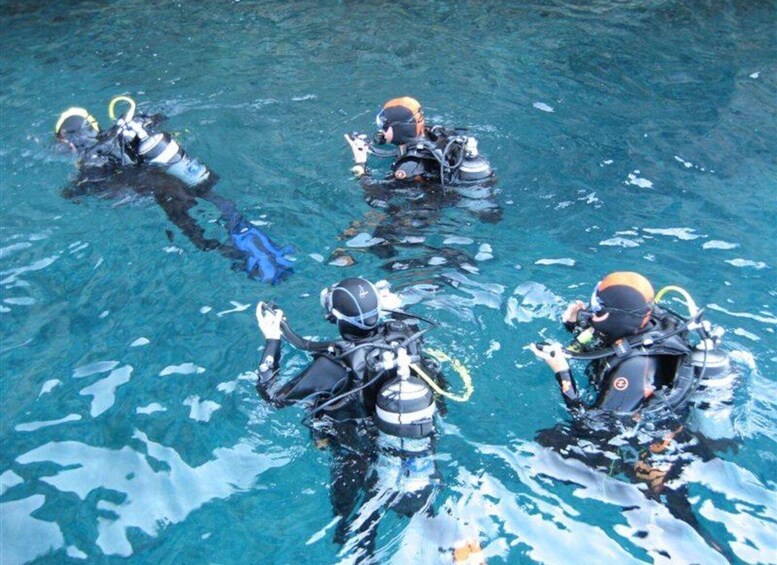 Picture 6 for Activity Alghero: diving for professionals at Capo Caccia