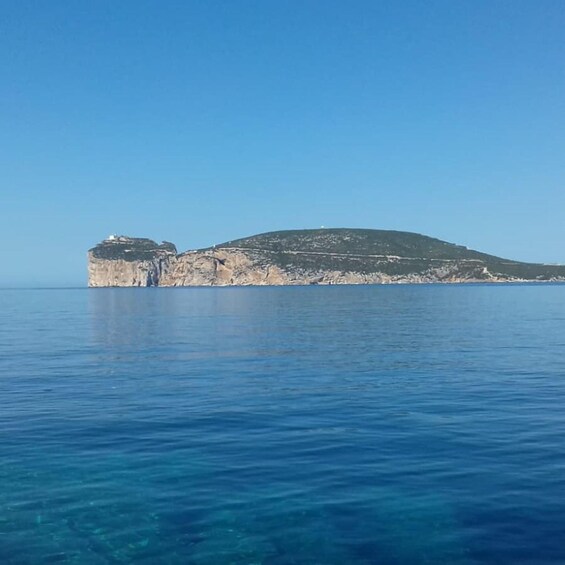 Picture 13 for Activity Alghero: diving for professionals at Capo Caccia