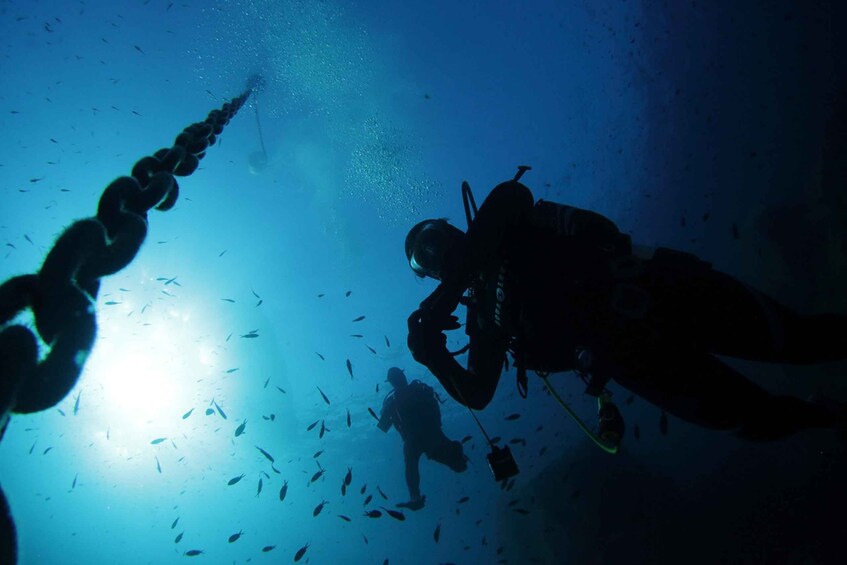 Picture 7 for Activity San Teodoro: Diving in the Marine Protected Area of Tavolara