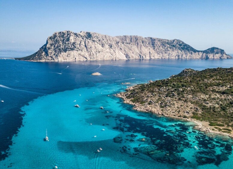 Picture 6 for Activity San Teodoro: Diving in the Marine Protected Area of Tavolara