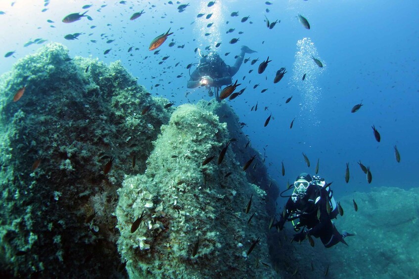 San Teodoro: Diving in the Marine Protected Area of Tavolara