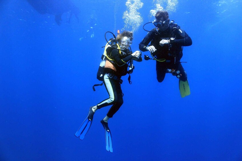 Picture 2 for Activity Isola Ruja: Scuba Diving Baptism in Tavolara Island bay