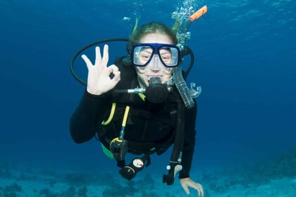 Isola Ruja : Baptême de plongée sous-marine dans la zone marine de Tavolara