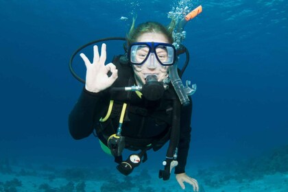 Isola Ruja : Baptême de plongée sous-marine dans la zone marine de Tavolara