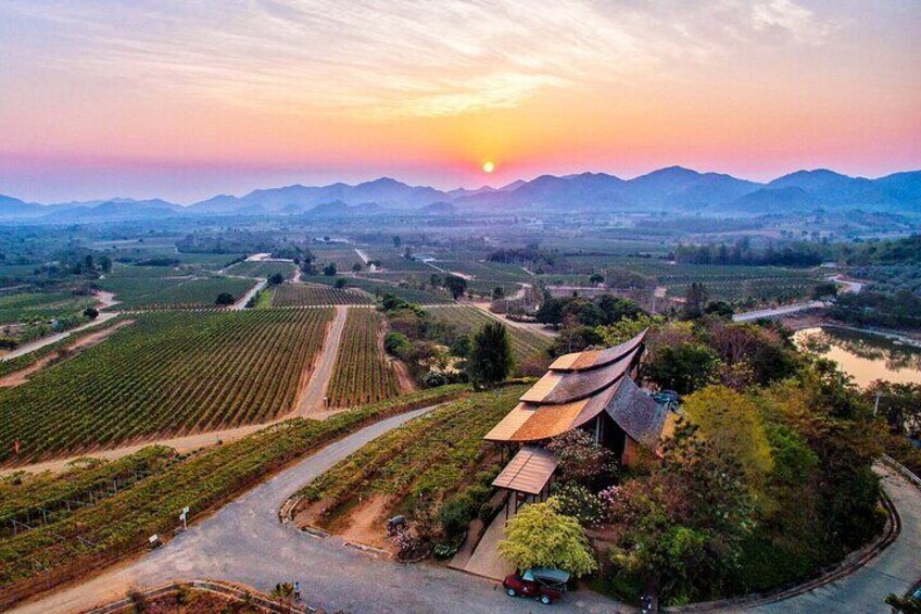 Private Experience of Wine Tasting Hua Hin in Monsoon Valley