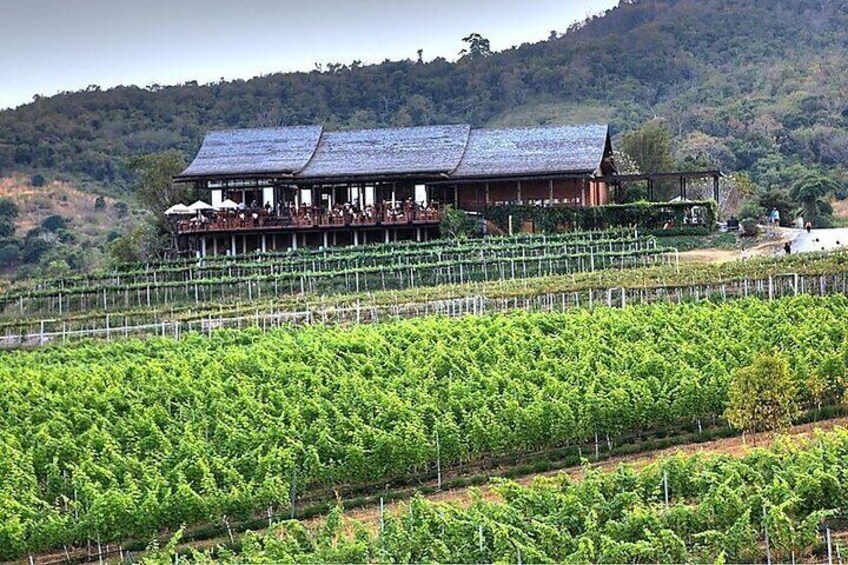 Private Experience of Wine Tasting Hua Hin in Monsoon Valley