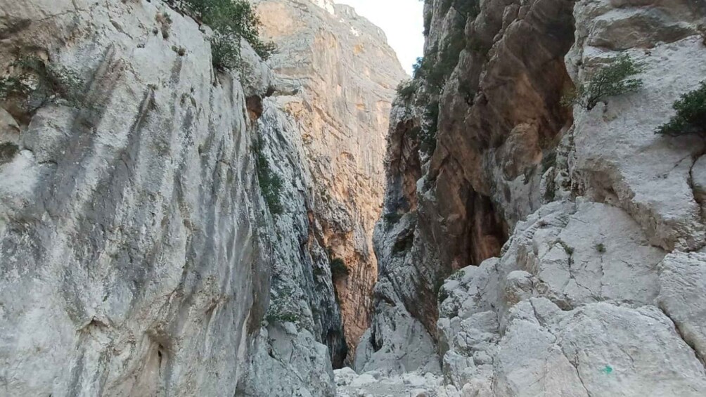 Picture 7 for Activity From Genna Silana: Canyon of Gorropu Guided Hike