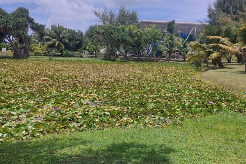 Four Islands Private Tour in Addu City, Maldives
