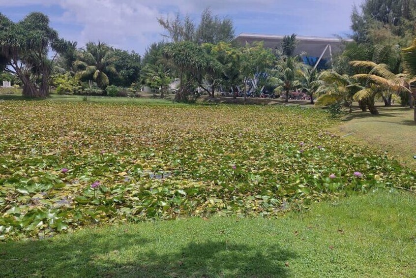 Four Islands Private Tour in Addu City, Maldives