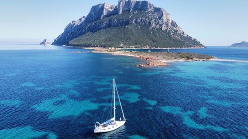 From San Teodoro: sailing boat tour