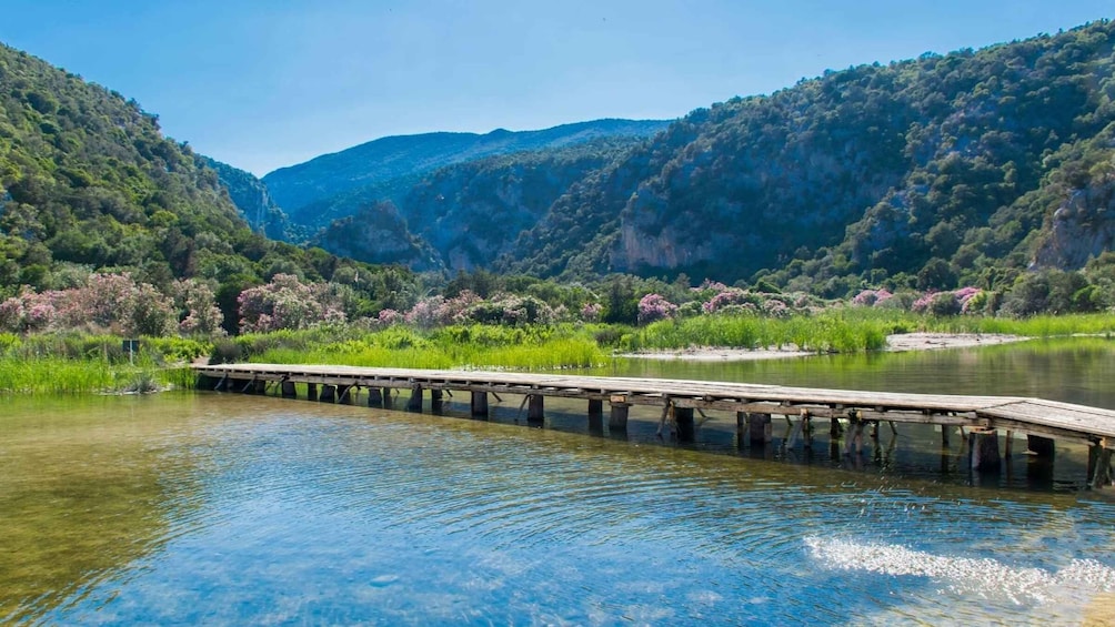 Picture 14 for Activity From Baunei: Cala Luna and Dorgali Full-Day Guided Trek