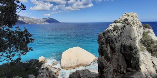 Desde Baunei: Excursión guiada de un día a Cala Luna y Dorgali