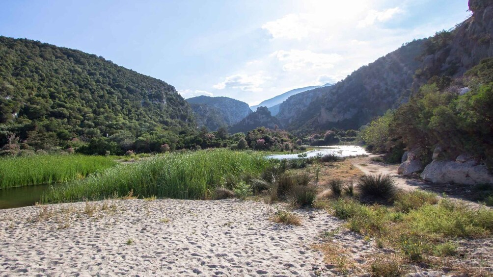 Picture 7 for Activity From Baunei: Cala Luna and Dorgali Full-Day Guided Trek