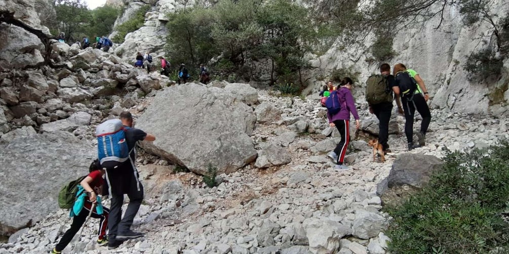 Picture 2 for Activity From Baunei: Cala Luna and Dorgali Full-Day Guided Trek