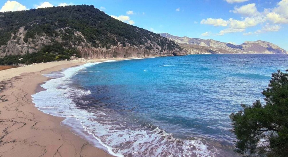 Picture 9 for Activity From Baunei: Cala Luna and Dorgali Full-Day Guided Trek